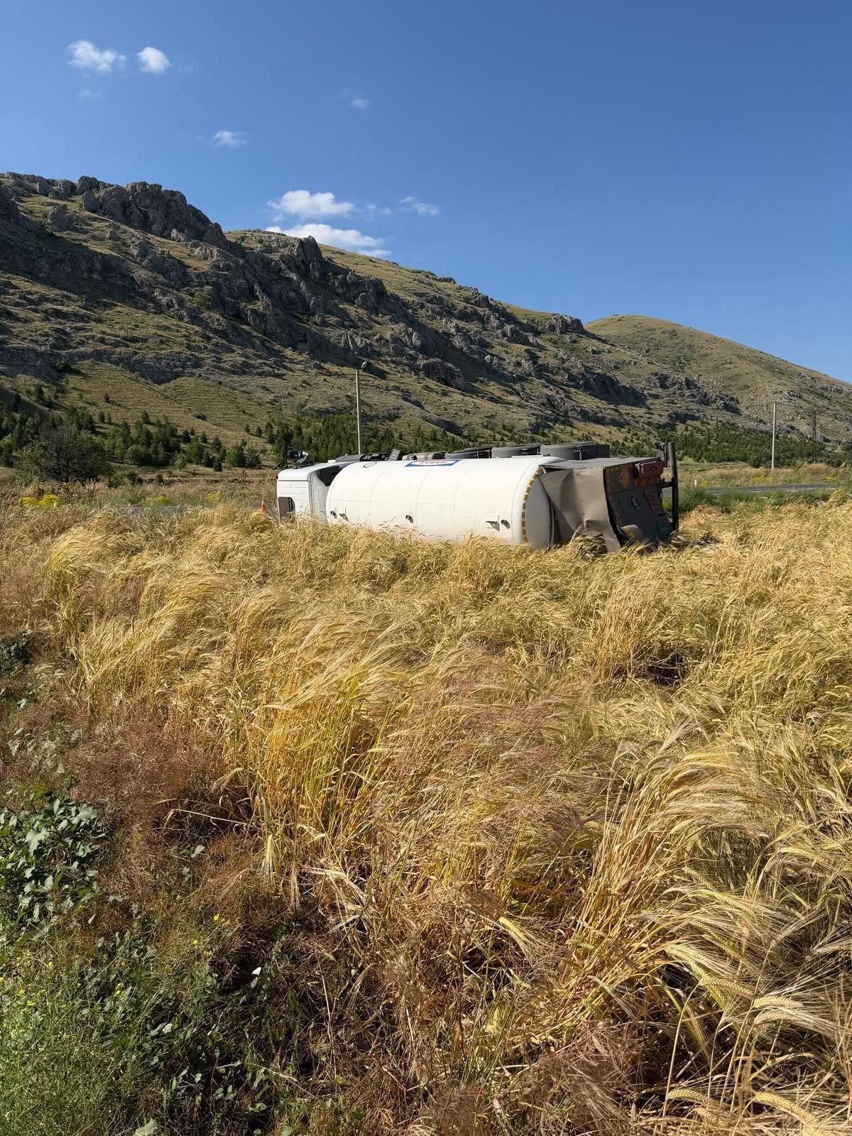 A W736129 01