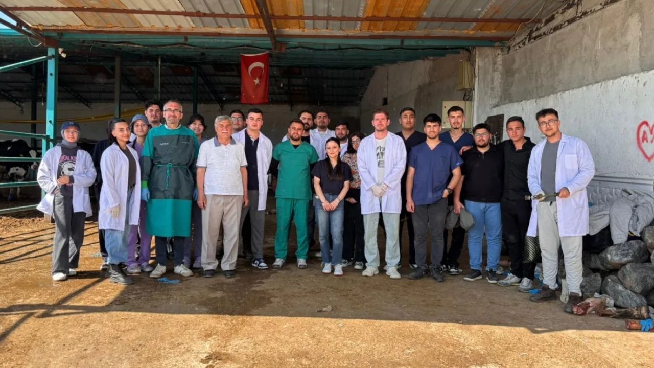 Adsız Tasarım 1801