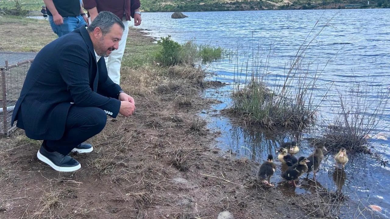 Adsız Tasarım 2010