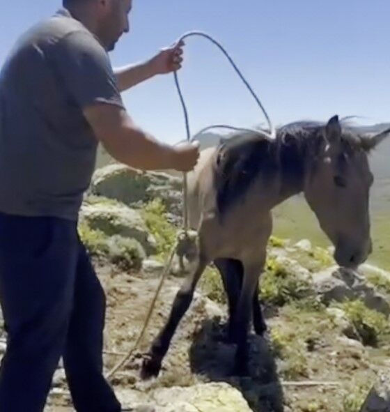 A W743023 01