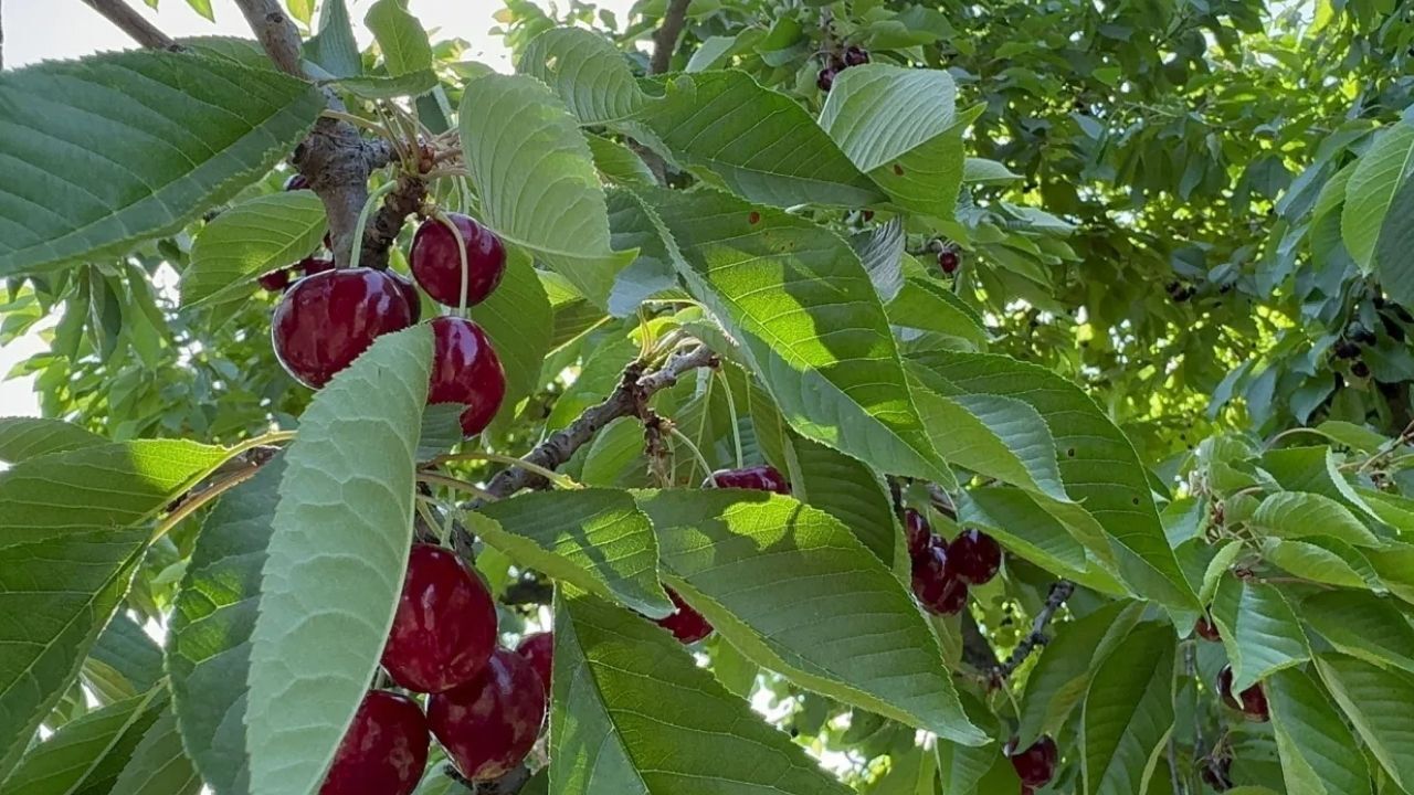 Adsız Tasarım 2205