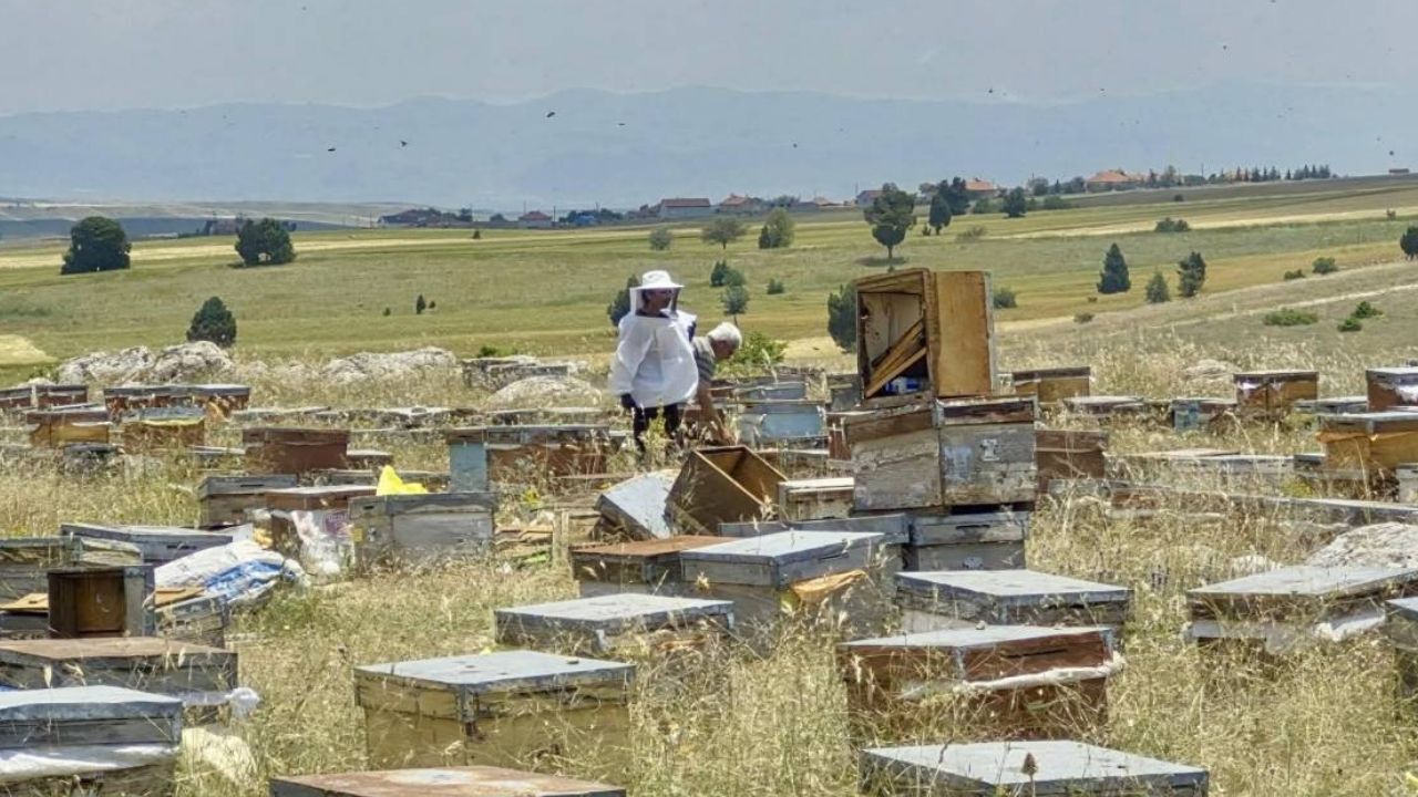 Adsız Tasarım 2256