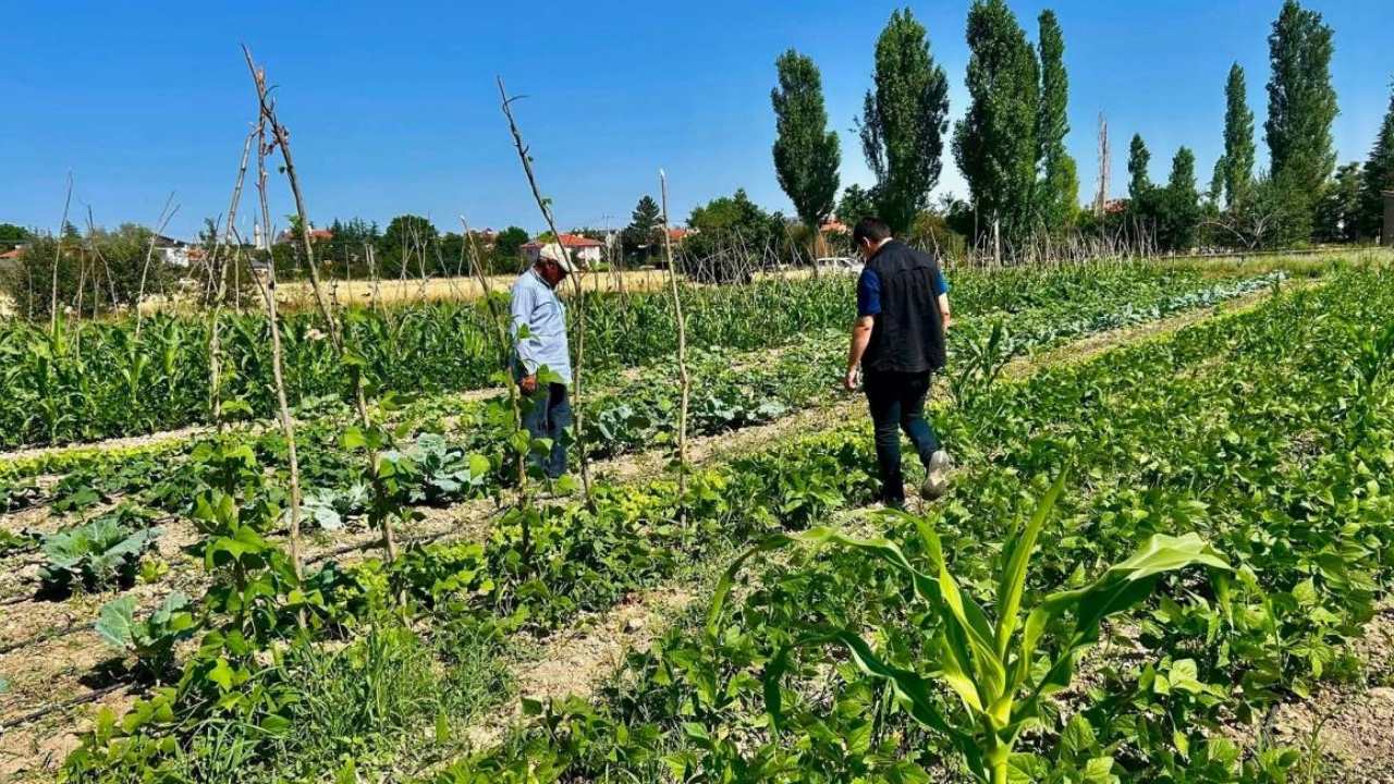 Afyon Anahaber 27