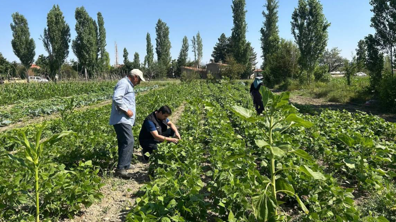 Afyon Anahaber 29
