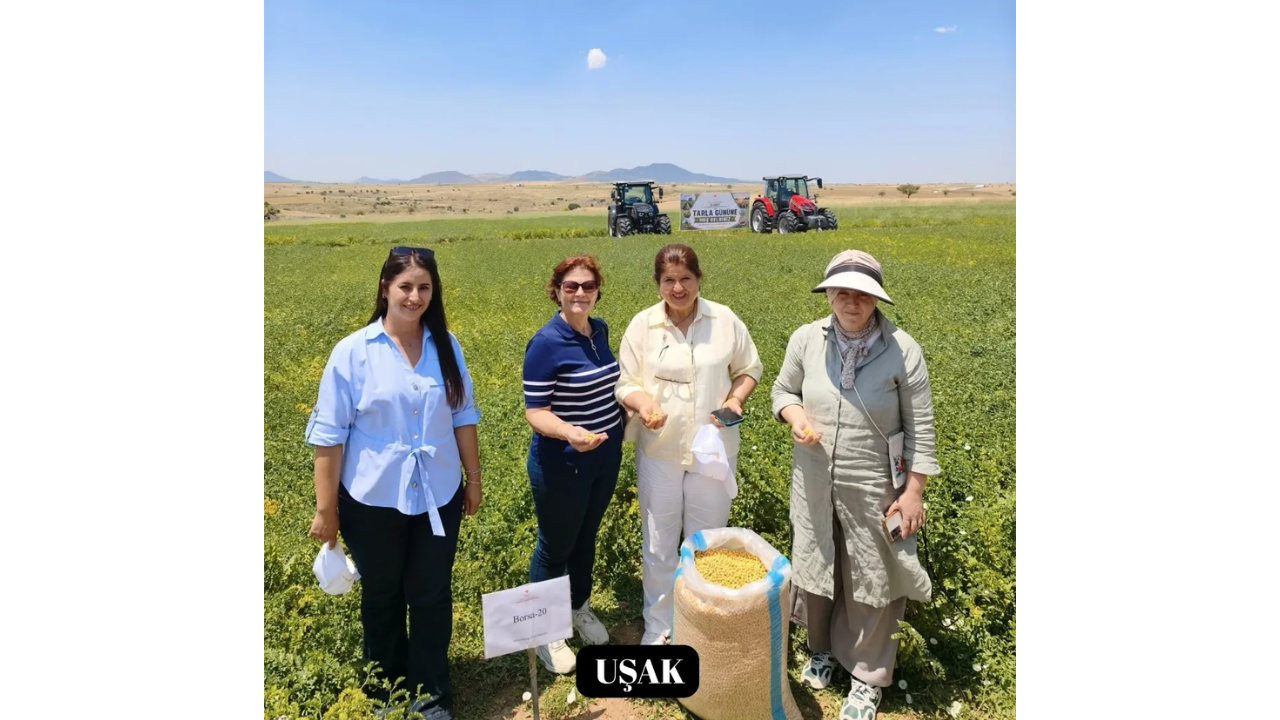 Afyon Anahaber 361