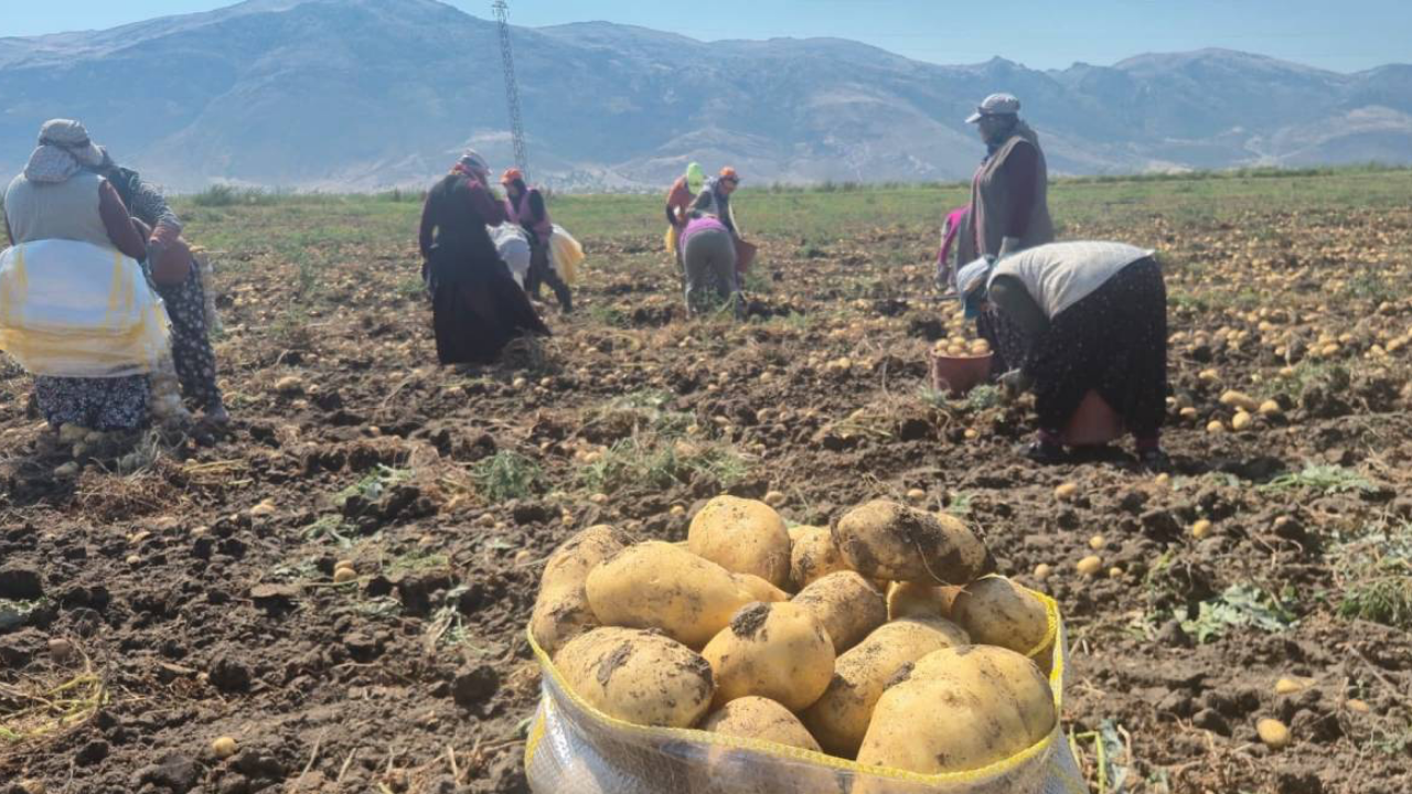Afyon Anahaber 1253