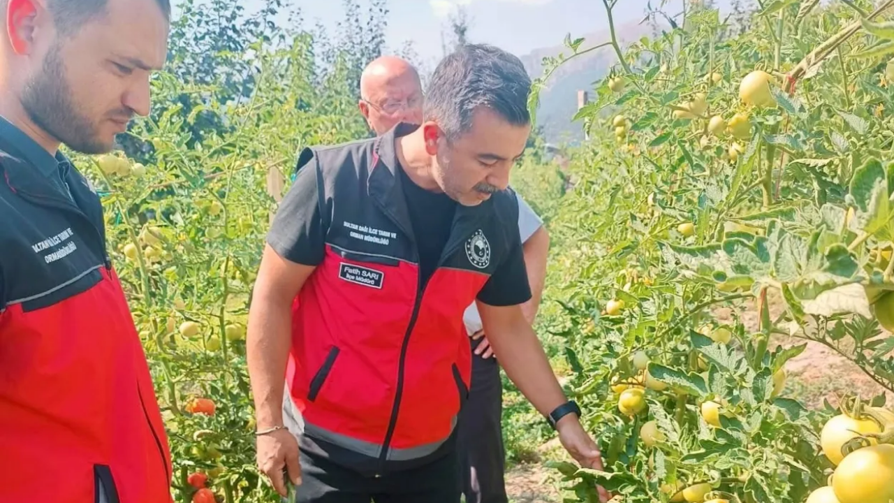 Afyon Anahaber 1265