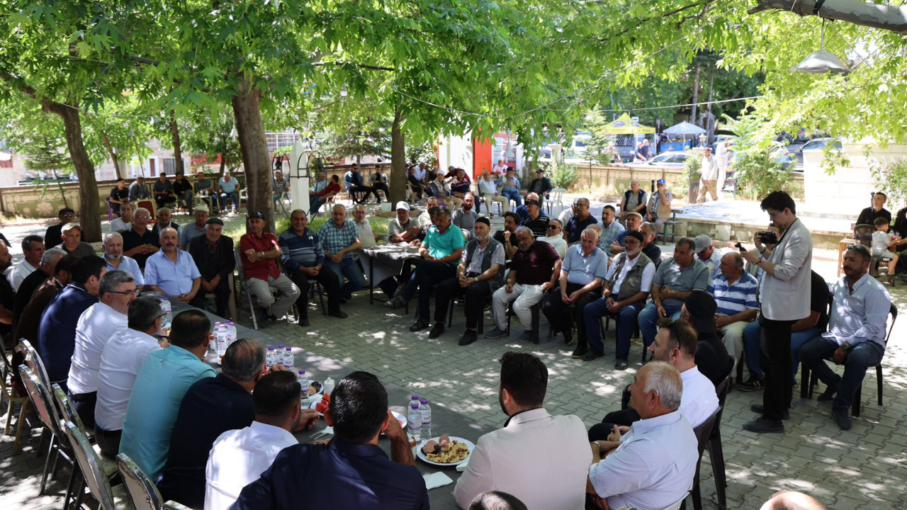 Afyon Anahaber 481