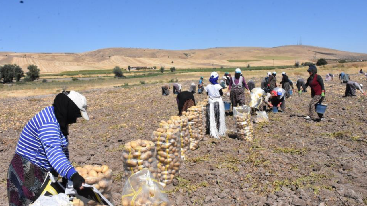 Afyon Anahaber 689