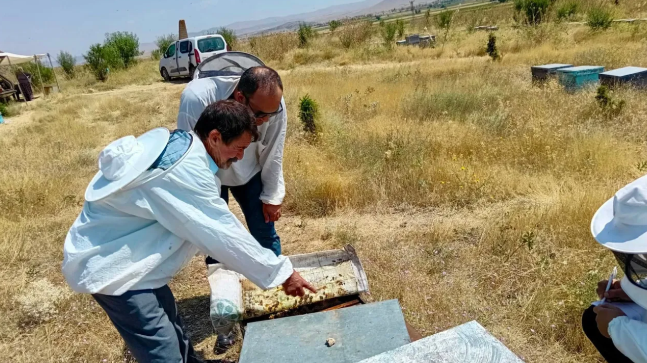 Afyon Anahaber 968