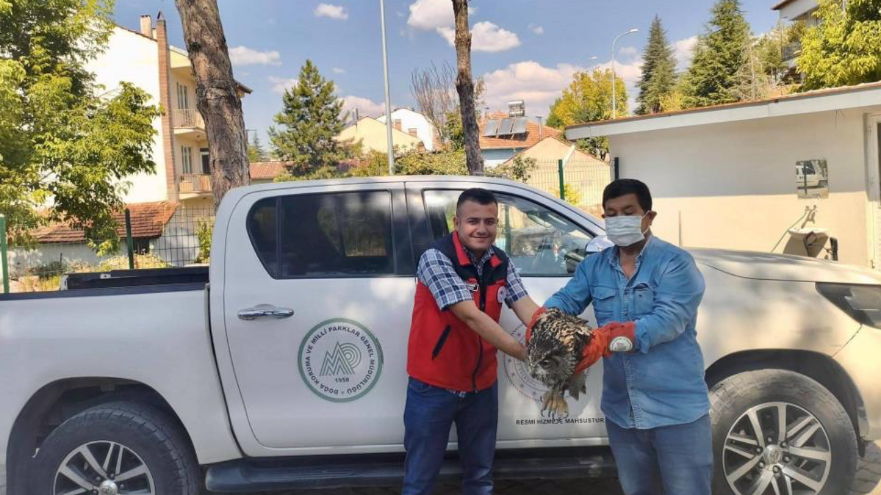 Afyon Ana Haber 170-1