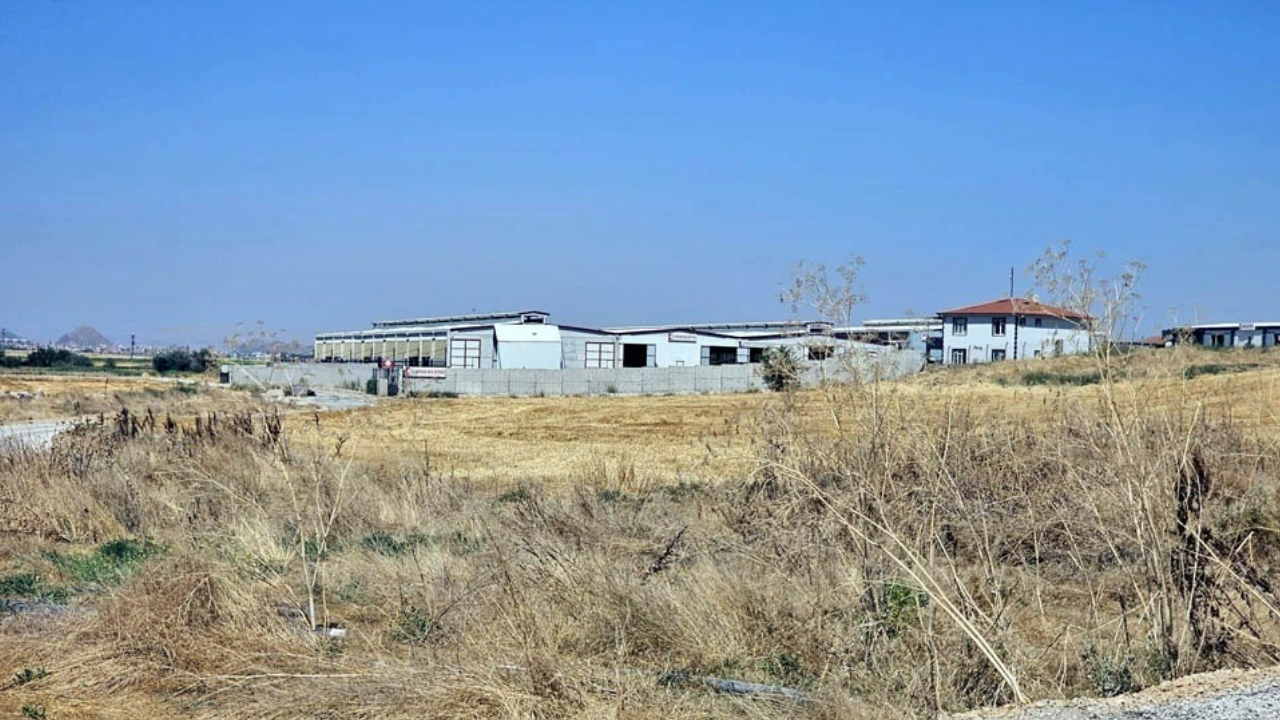 Afyon Ana Haber 225-1
