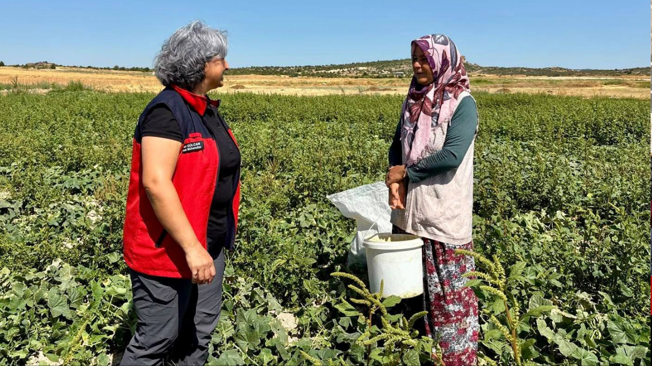 Afyon Anahaber 2026 09 01T103358.568