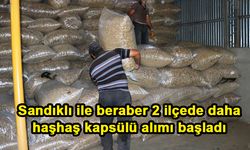 Sandıklı ile beraber 2 ilçede daha haşhaş kapsülü alımı başladı