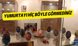 Yumurtayı hiç böyle görmediniz