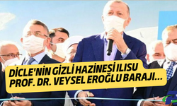 DİCLE'NİN GİZLİ HAZİNESİ ILISU PROF. DR. VEYSEL EROĞLU BARAJI...