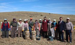 Afet Bölgesinde Üretilemeyen Tarım Ürünleri Afyonkarahisar’da Üretilecek