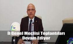 İl Genel Meclisi Toplantıları Devam Ediyor