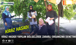 Kiraz Hasadı Yapılan Bölgelerde Zararlı Organizma Denetimi