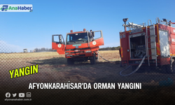 Afyonkarahisar'ın Dinar İlçesinde  Orman Yangını