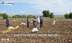 Şuhut’ta patates hasadı başladı