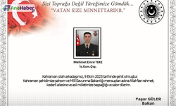 MSB PENÇE-KİLİT BÖLGESİNDE BİR ASKER ŞEHİT OLDU