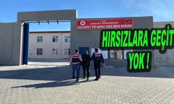  Canlı Hayvan Hırsızlığı Suçundan Aranan Şahsı JASAT Dedektifleri Yakaladı  