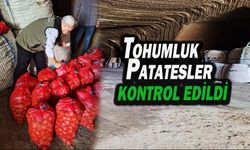 Tohumluk Patateslerin Kontrolü Yapıldı