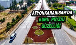 Afyonkarahisar’da Kuru Peyzaj Güzelliği