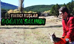 Yırtıcı Kuşlar Ve Keklikler Doğaya Salındı