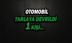 Tarlaya Devrilen Otomobilde 1 Kişi Yaralandı