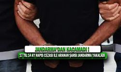 17 Yıl 14 Ay Hapis Cezası İle Aranan Şahsı Jandarma Yakaladı