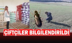 Çiftçiler Ekinlere Zarar Veren Kambur Böceği Konusunda Bilgilendirildi