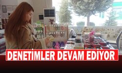 Denetimler Devam Ediyor