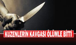 Kuzenlerin Kavgası Ölümle Bitti