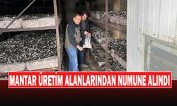 Mantar Üretim Alanlarından Numune Alındı