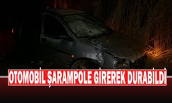 Kontrolden Çıkan Otomobil Şarampole Girip Tepeciğe Çarparak Durabildi