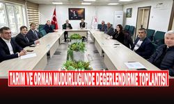 Tarım Ve Orman Müdürlüğünde Değerlendirme Toplantısı