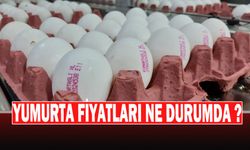 Üreticiler Yumurta Fiyatlarının Yükselmesinden Aracıları Sorumlu Tuttu