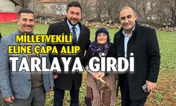 Eline Çapa Aldı Haşhaş Tarlasına Girdi