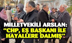 Milletvekili Arslan: "“CHP, eş başkanı ile hayallere dalmış”