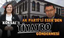 AK Parti'li Eser'den Burcu Köksal'a Gönderme
