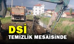 DSİ Ekiplerinin Temizlik Çalışmaları Sürüyor