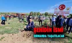 Şehit Gürpınar için hatıra ormanı