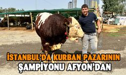 İstanbul’da kurban pazarının şampiyonu Afyon’dan