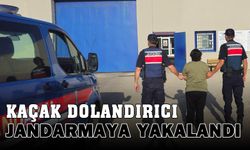 Kaçak şahsı jandarma yakaladı