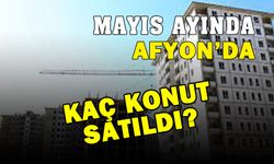 Mayıs ayında Afyonkarahisar’da kaç konut satıldı?