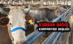 Emirdağ Belediyesi'nden ihtiyaç sahipleri için kurban bağışı kampanyası