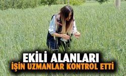 Afyonkarahisar'da ekili alanları işin uzmanları kontrol etti