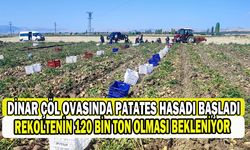 Dinar’da patates hasadı başladı  